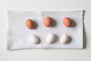 Egg Comparison